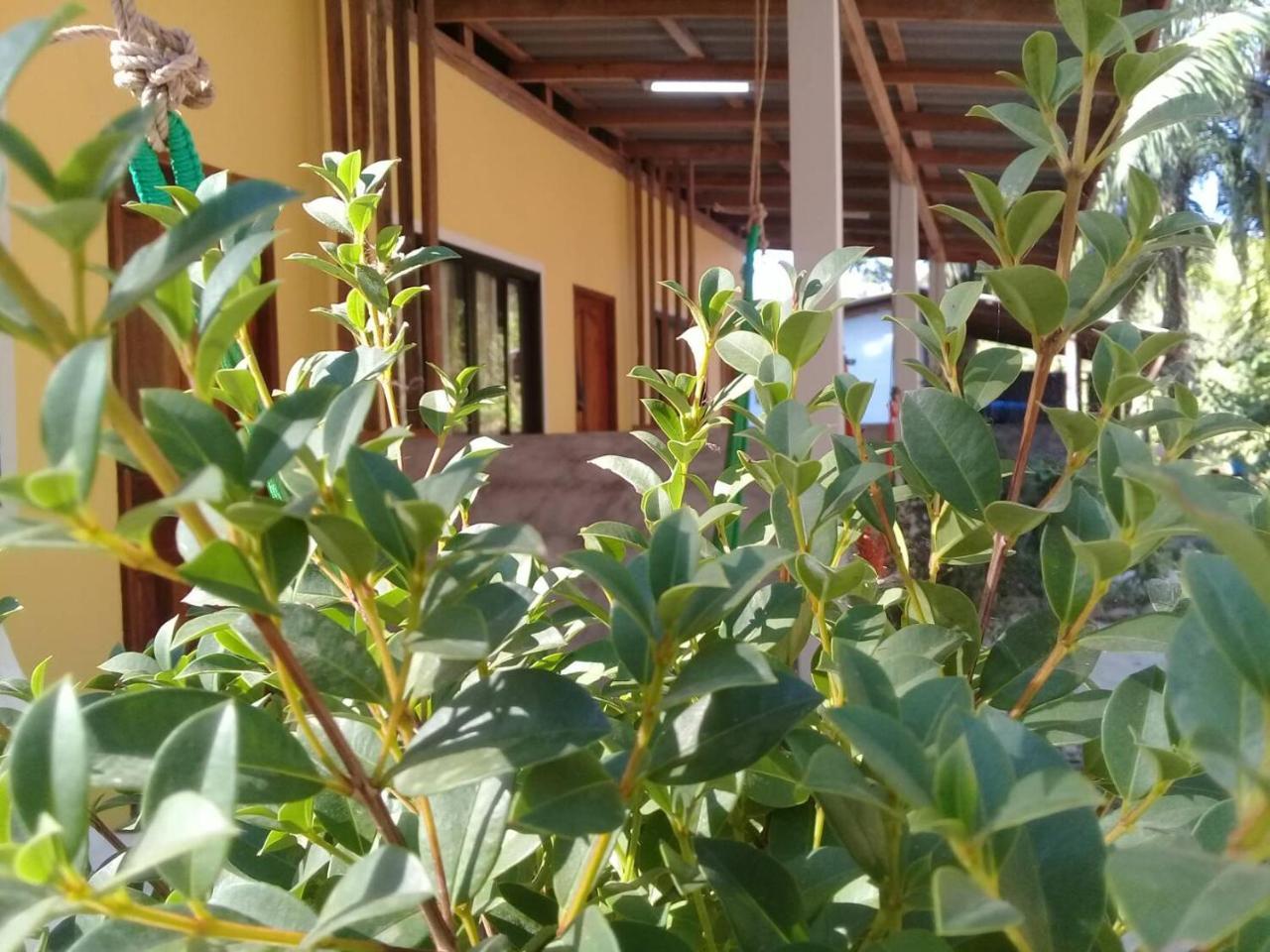 Som Palmgarden Ξενοδοχείο Ko Lanta Εξωτερικό φωτογραφία